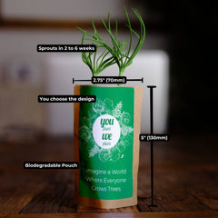 Plant 10 Trees for Our Journey – “Let Love Grow”
