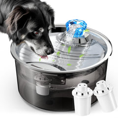 2.6Gal/10L Dog Water Fountain for Dogs & Cats & Multiple Pets D2340