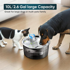 2.6Gal/10L Dog Water Fountain for Dogs & Cats & Multiple Pets D2340